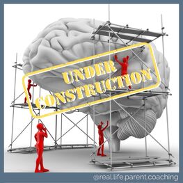 The brain is under construction until early adulthood